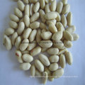 Blanched Peanut Kernel, Peanut Kernel Without Skin